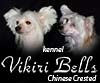 Питомник Китайских Хохлатых Собак "Викири Беллс"